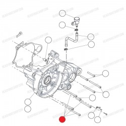 Tornillo allen M5X60