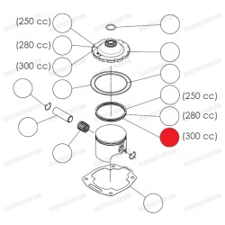 Juego Segmentos 300