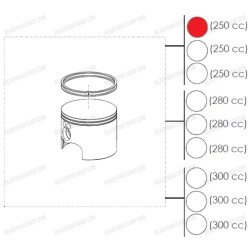 Conjunto Pistón A  (250)