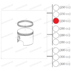 Conjunto Pistón C  (250)