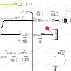 Led Delantero